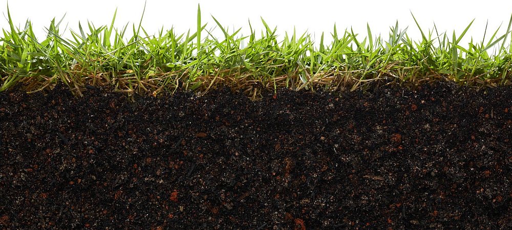 Seth Maurer Landscaping Lawn Fertilization cropped
